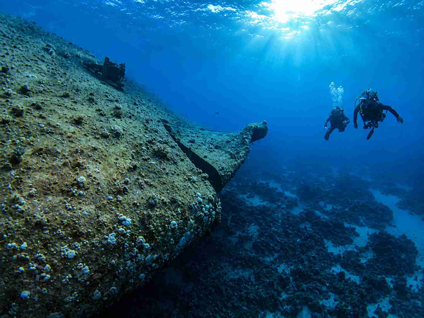The bow, the anchor and the hole torn open against the reef