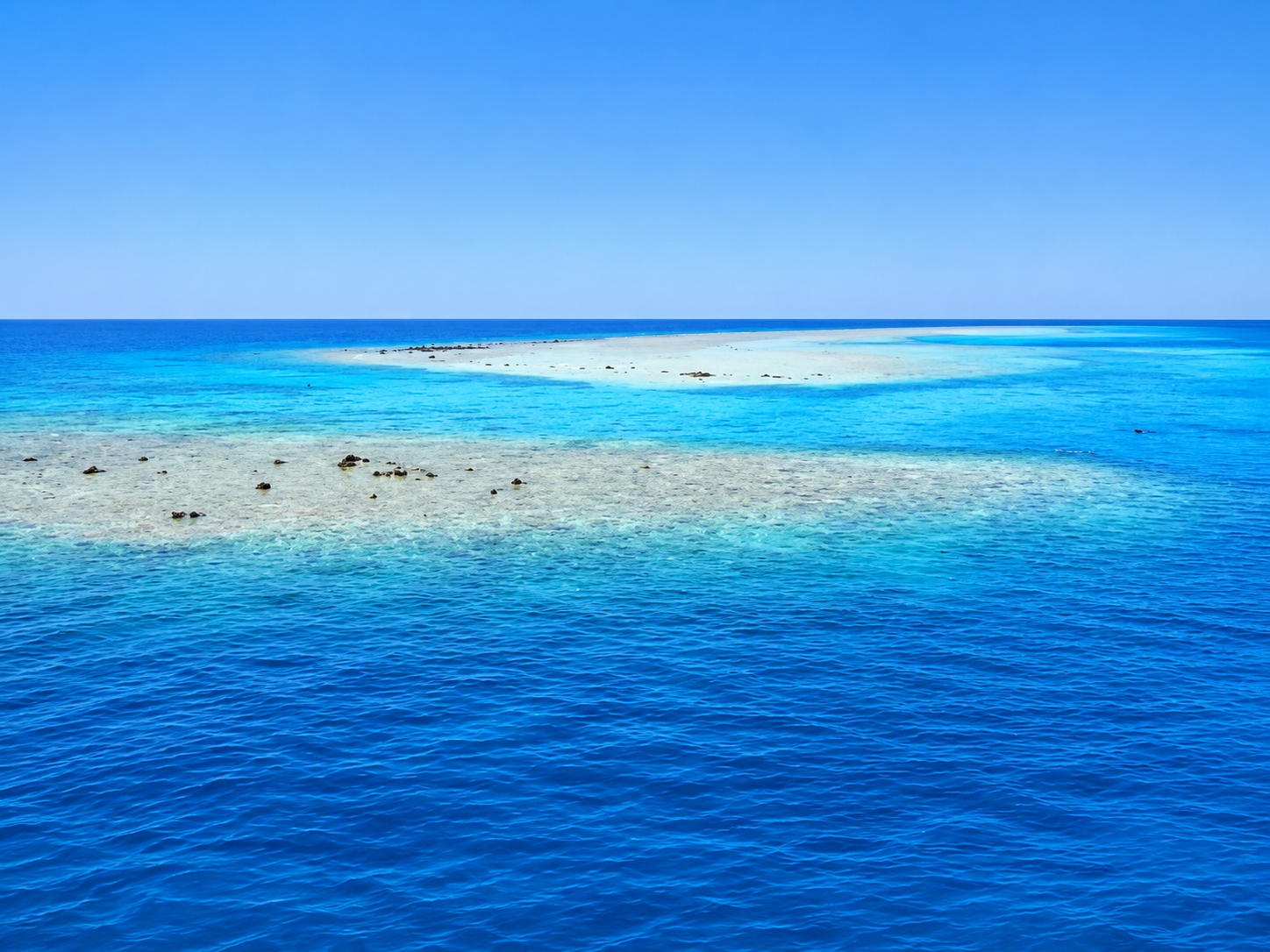 Shallow turquoise reef and sheltered lagoon at Dolphin House, Shaab El Erg near Hurghada