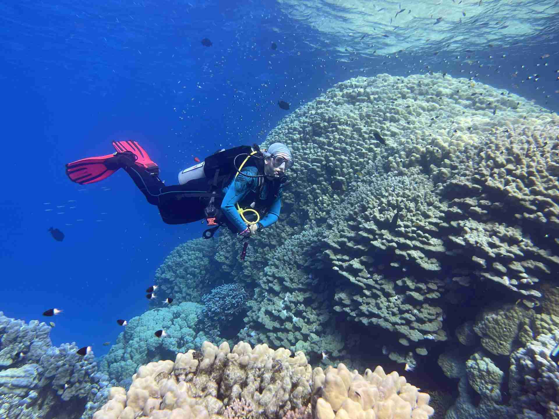 Onboard a Red Sea Diving day boat during a Hurghada trip