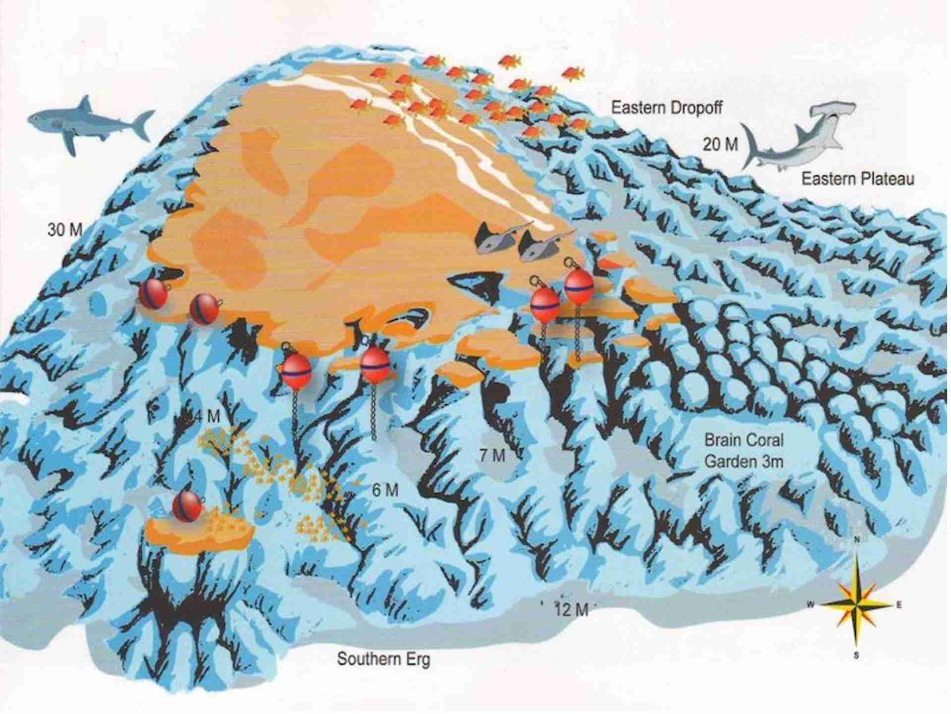 Middle Reef dive site map, Safaga
