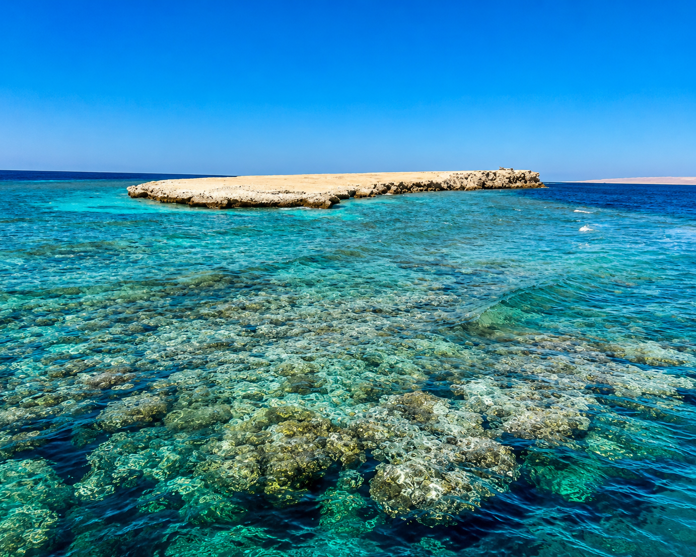 Shallow coral reef surrounding a remote rocky island in the Egyptian Red Sea