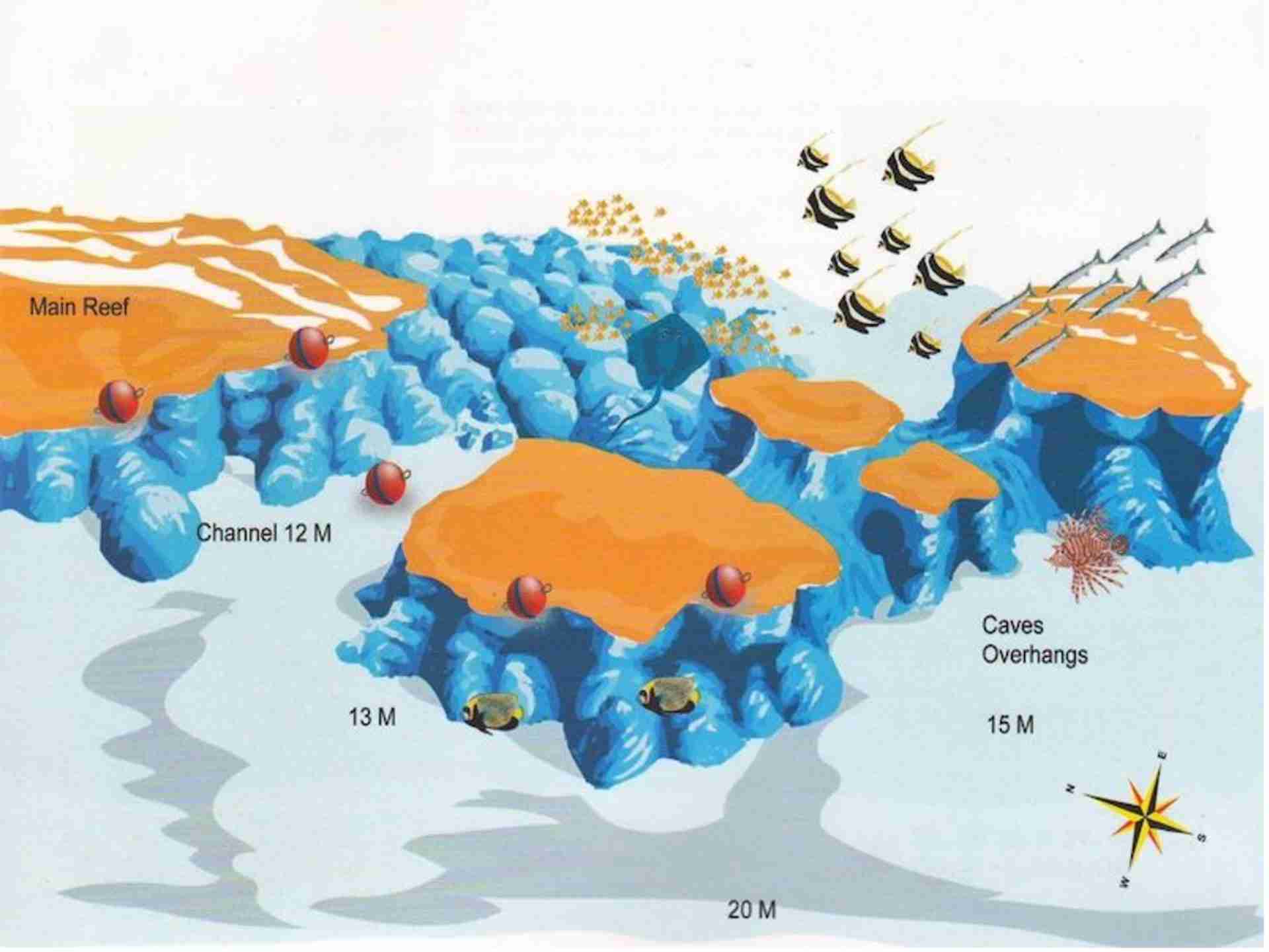 Shaab Shehr dive site map, one of the offshore Safaga dive sites