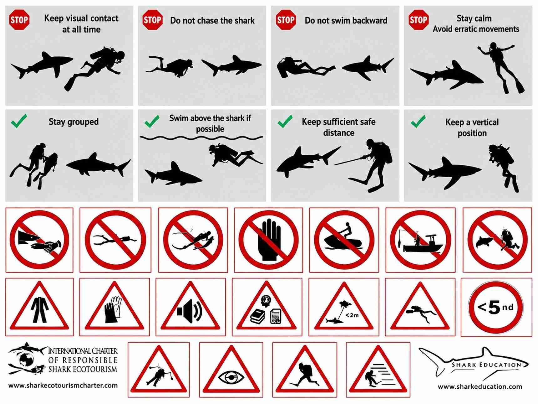 How to safely encounter an oceanic whitetip shark on a BDE liveaboard