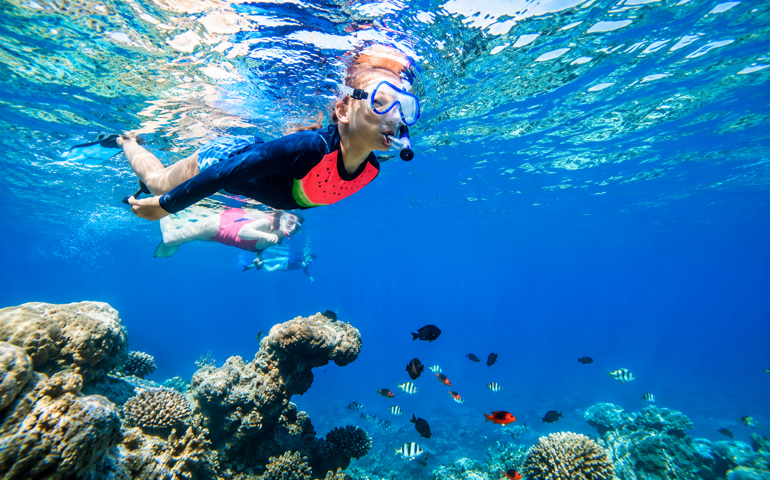 Snorkeling over a colorful coral reef in the clear Red Sea near Hurghada