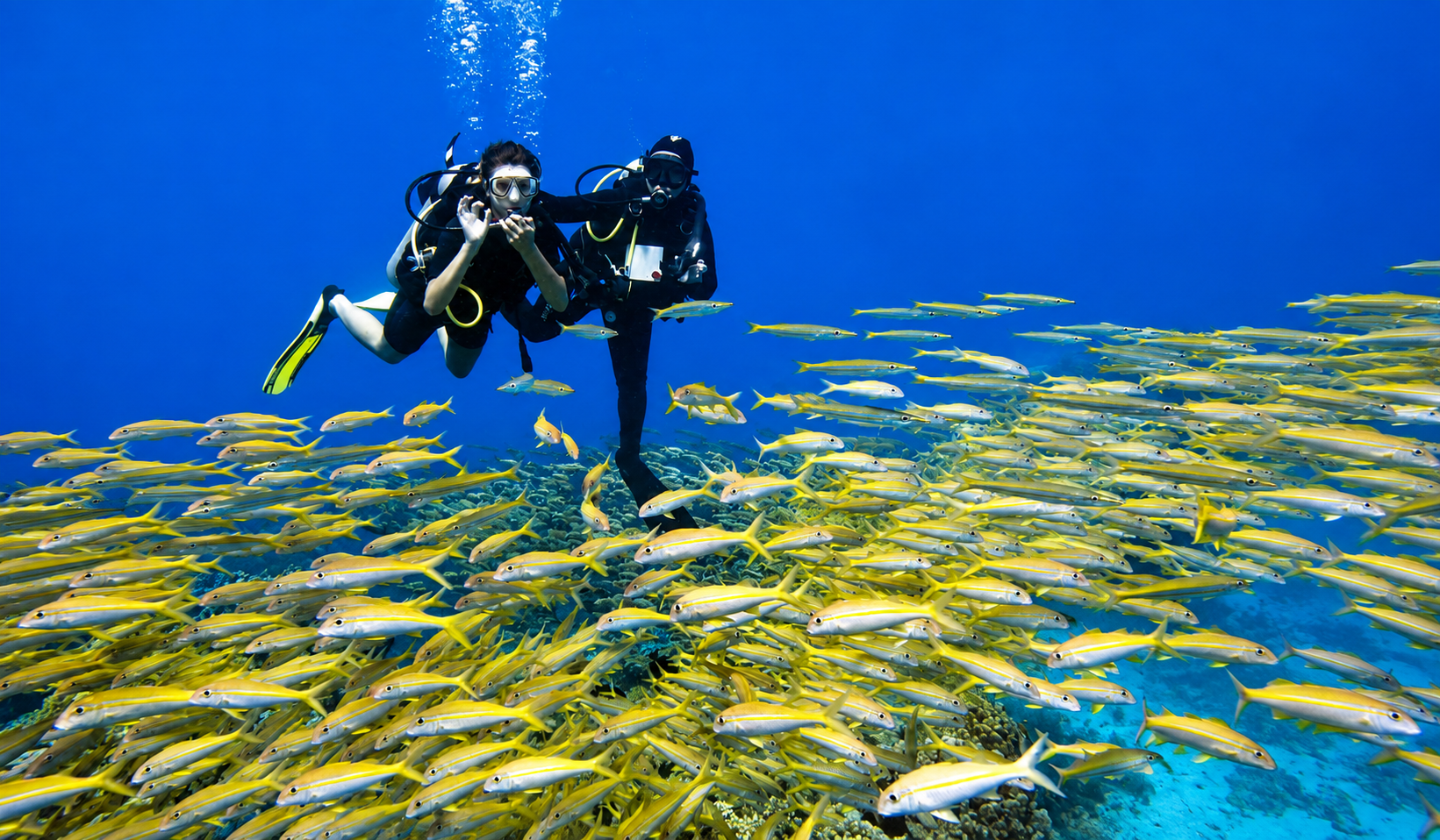 First-time Try Dive diver exploring the Red Sea beside a professional instructor among tropical fish