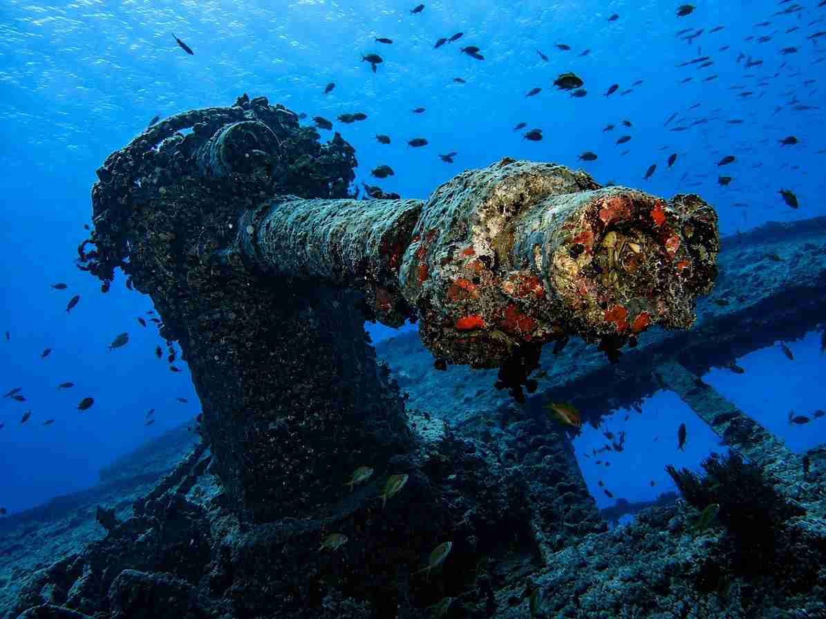 The stern gun on the SS Thistlegorm
