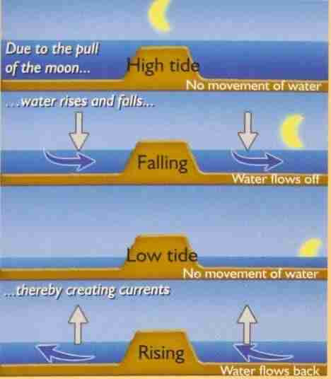 Diagram explaining high tide, low tide and tidal water movement