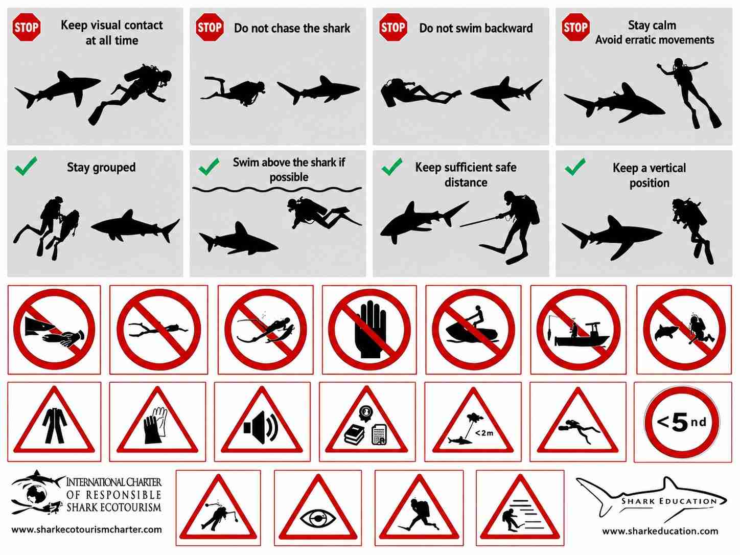 Safety guidance for diving with oceanic whitetip sharks