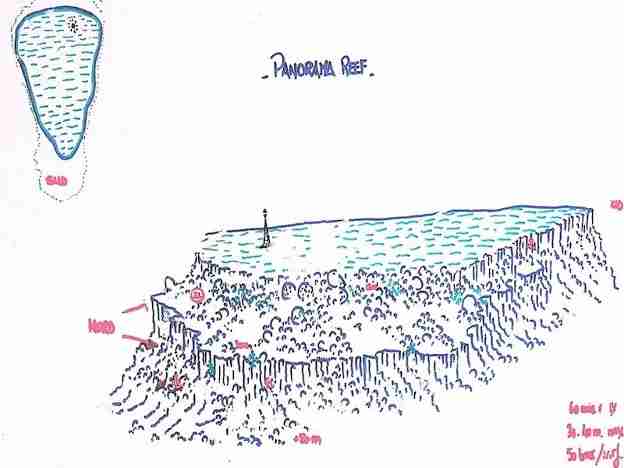 Panorama Reef site map showing the oval reef and the moorings