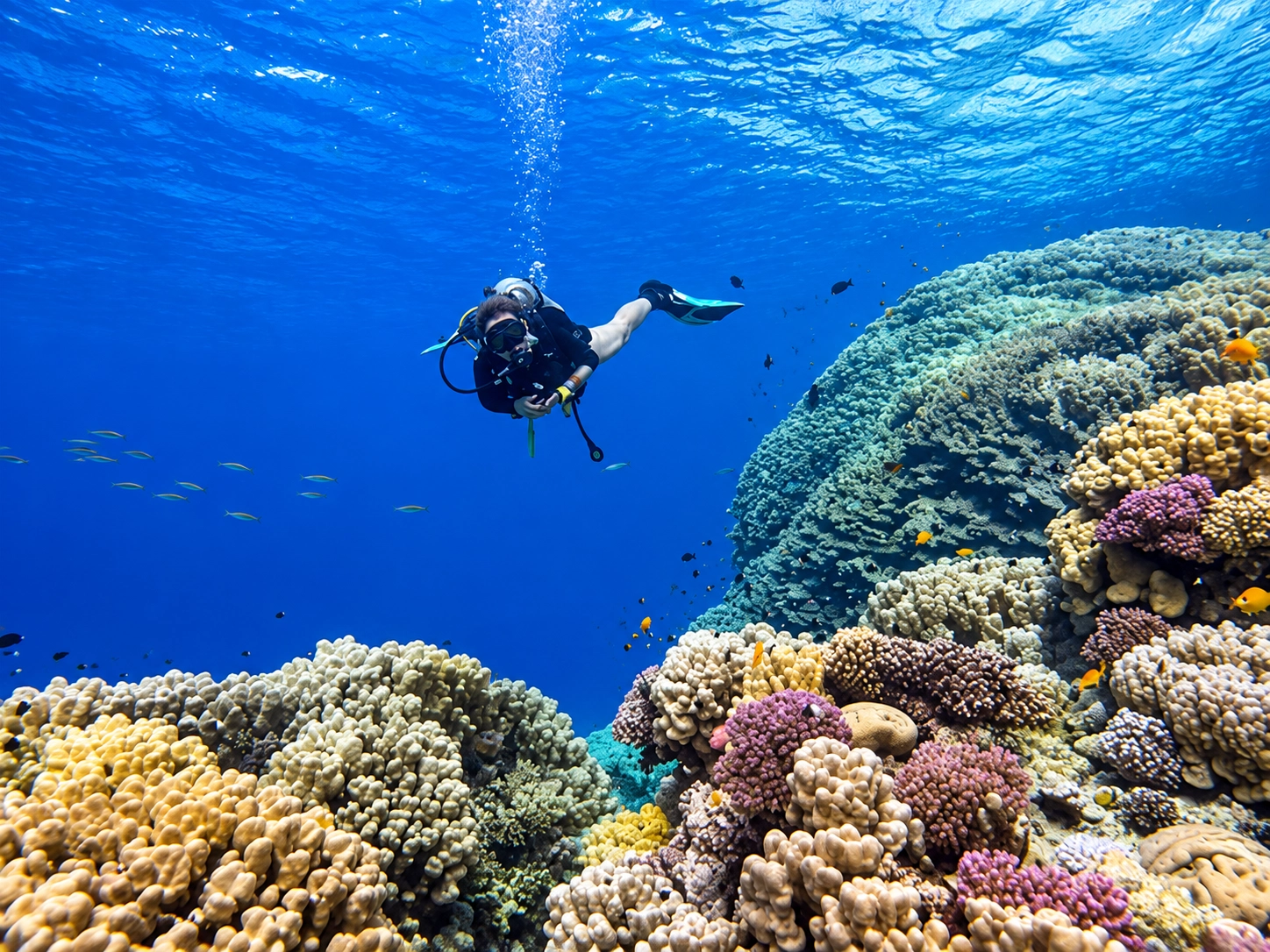 Diver gliding over a bright coral reef in the Red Sea