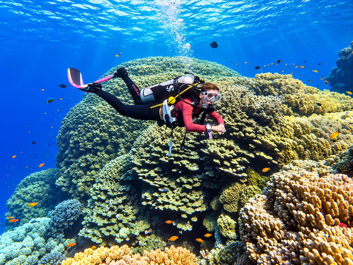 Advanced Open Water dive on a Red Sea reef near Hurghada