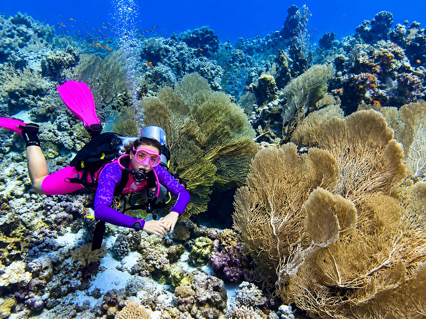 Advanced Open Water diver beside a sea fan on a Hurghada reef