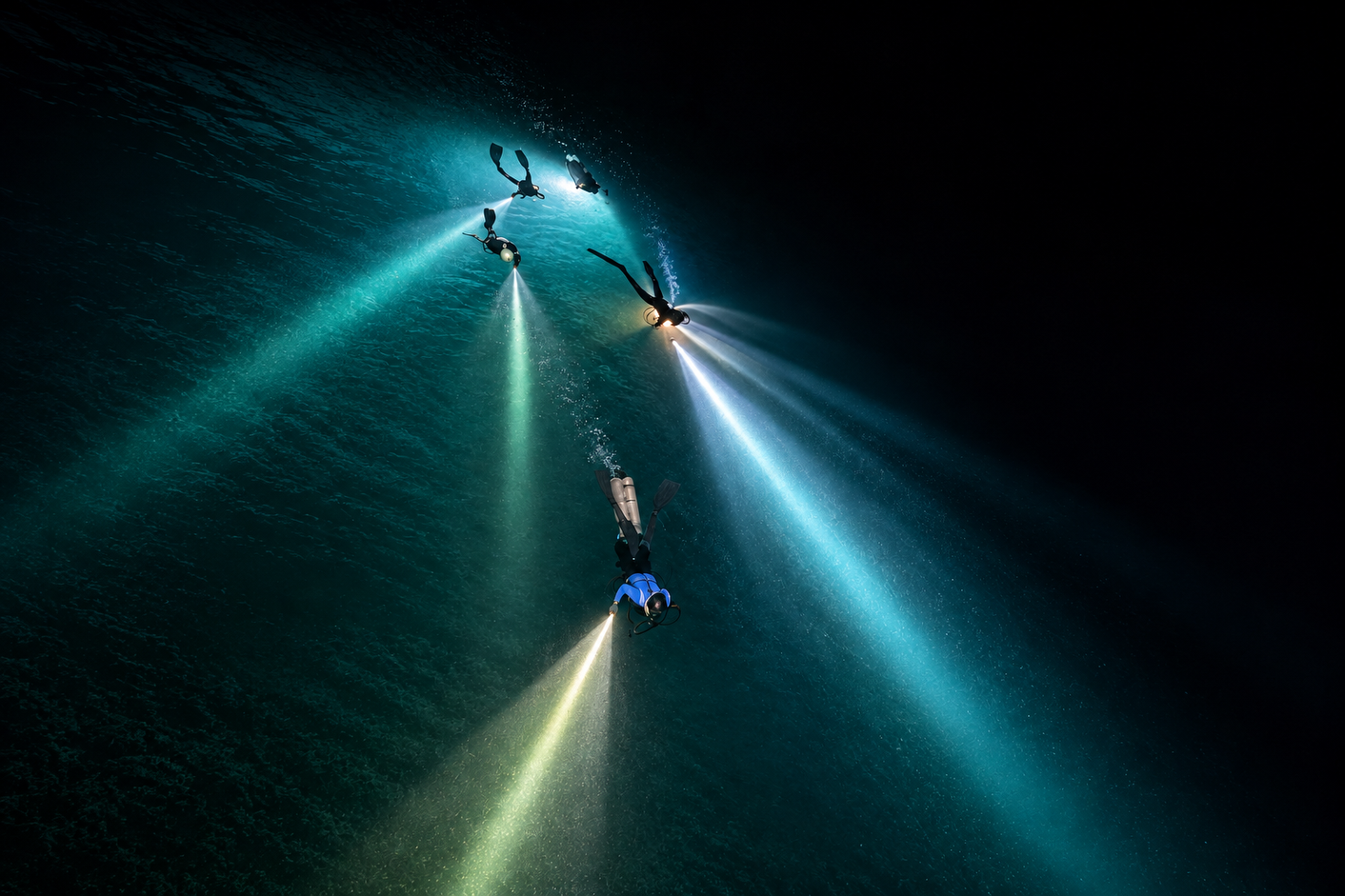 PADI Night Diver Course descent under torchlight