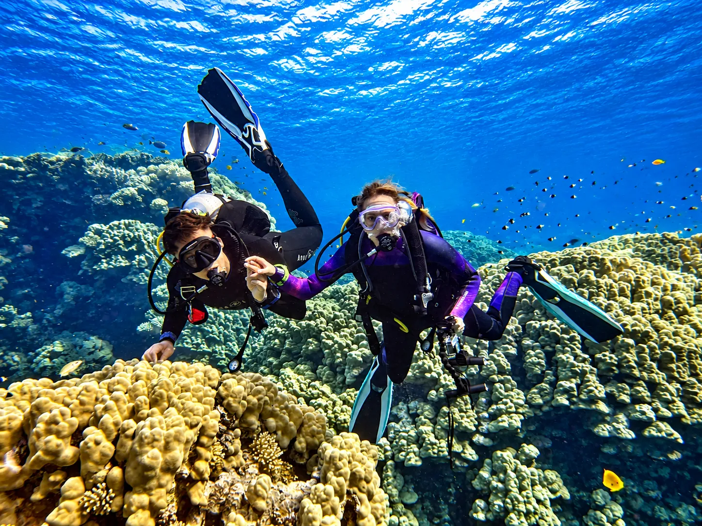 Buddy pair diving together on a Red Sea coral reef