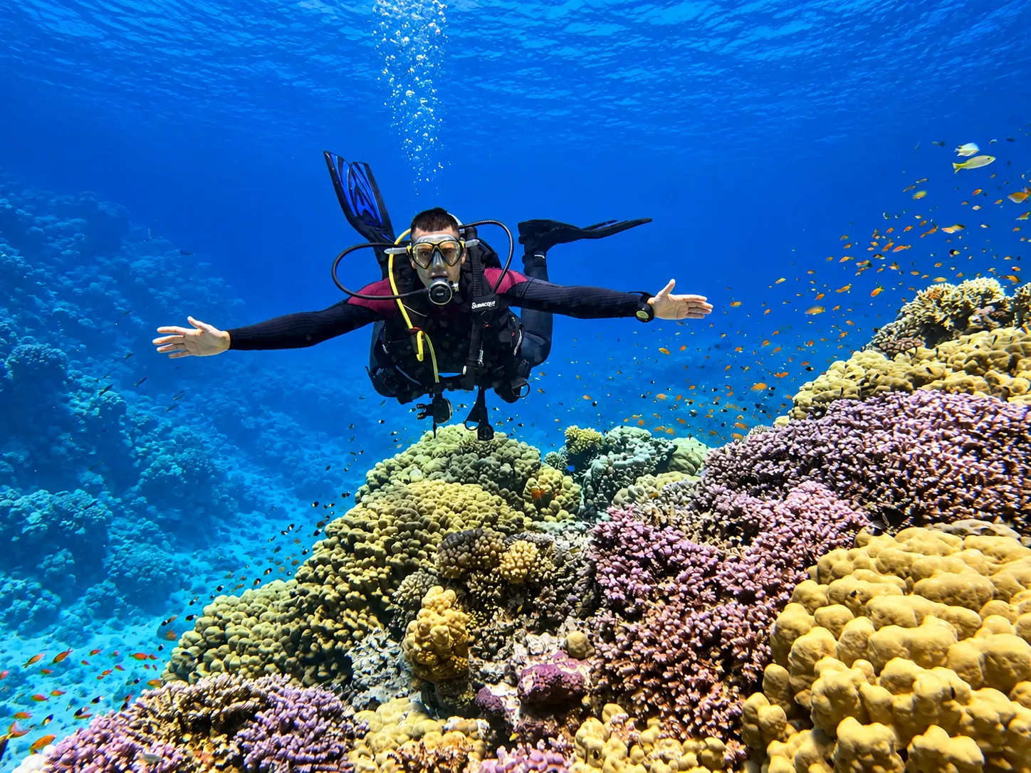 Certified diver exploring a Red Sea reef after the PADI Scuba Diver course