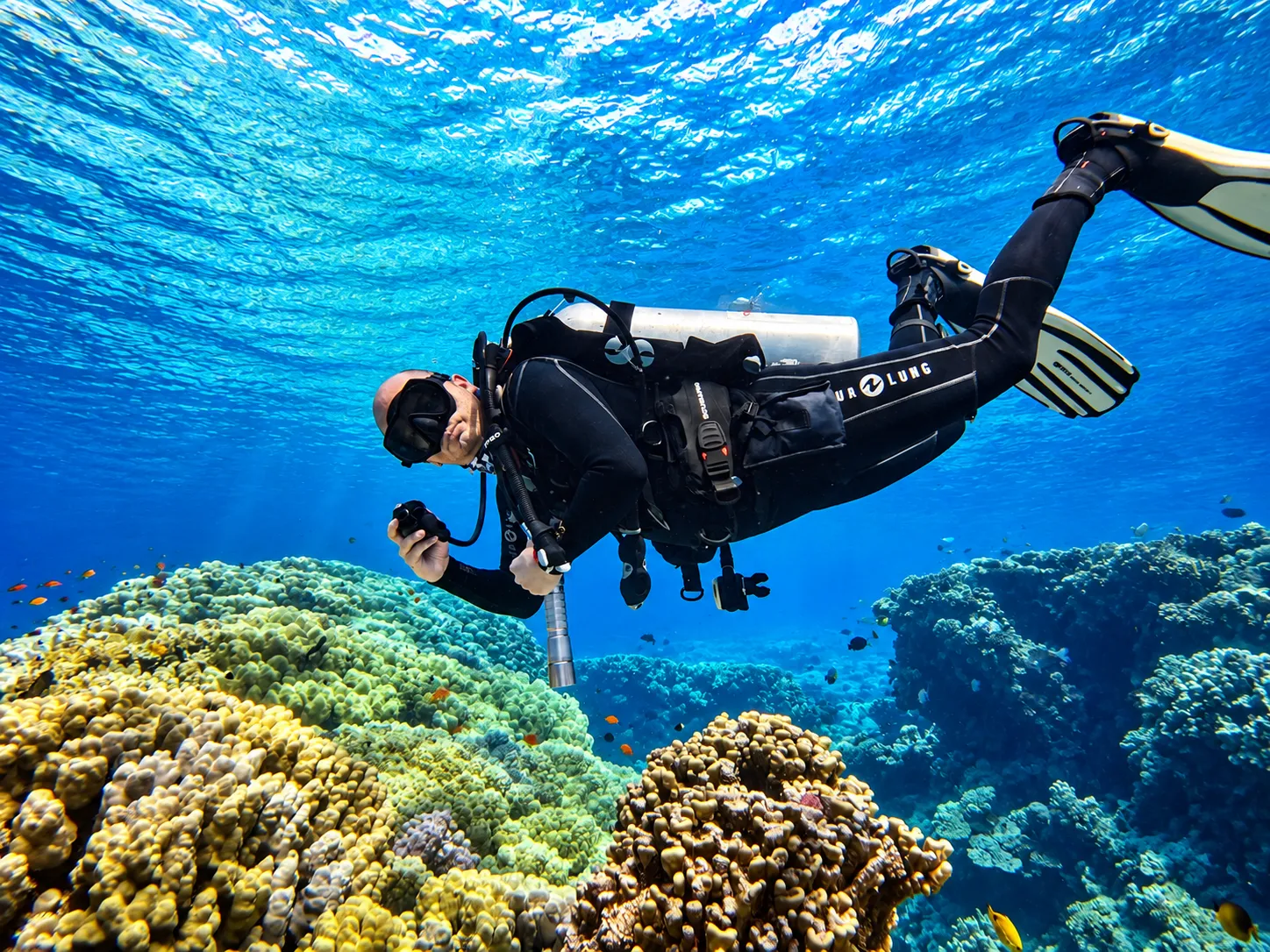 Coral wall dropping into open blue water