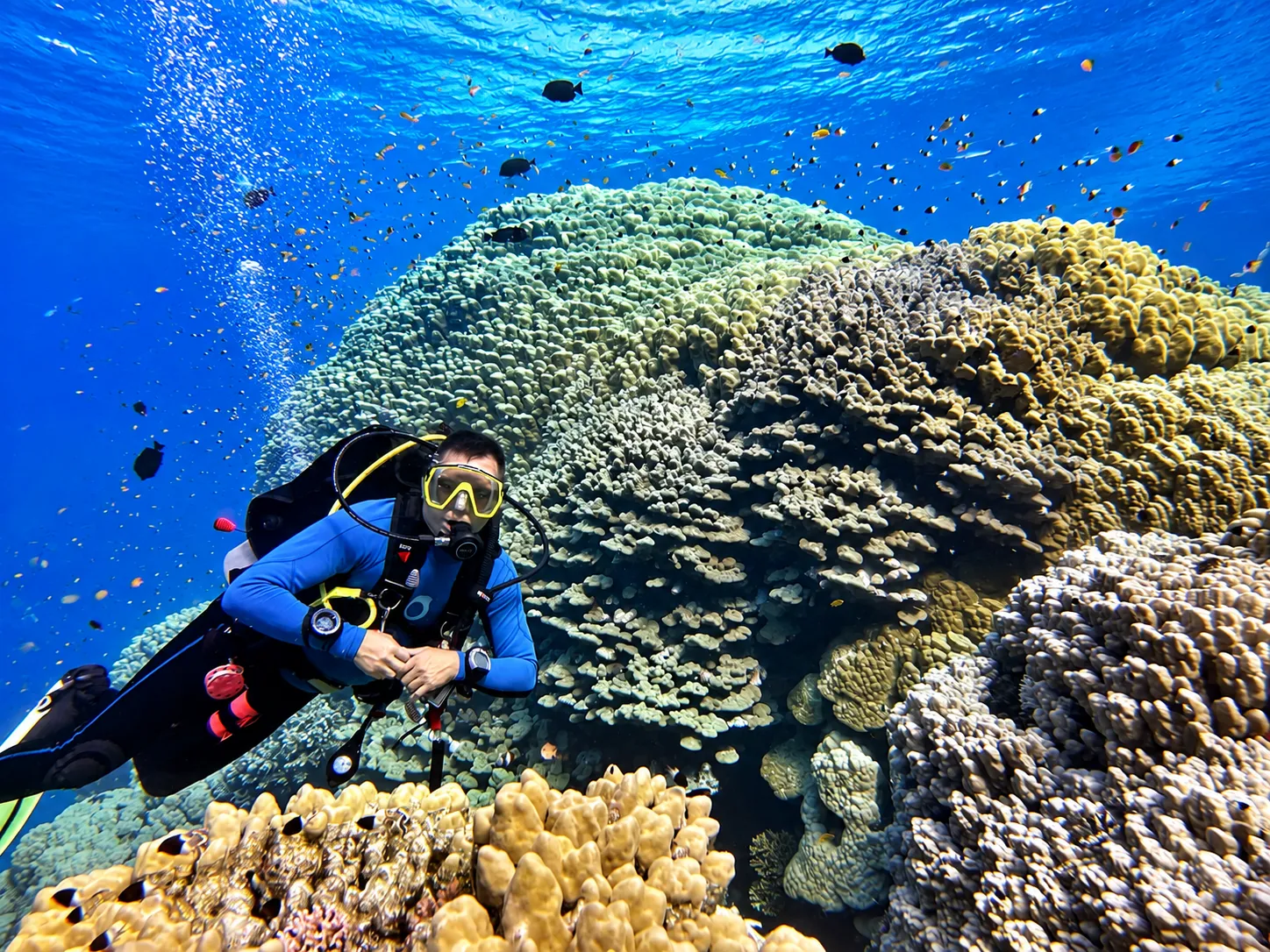 Scuba diver exploring a coral reef during PADI Scuba Diver training in Hurghada