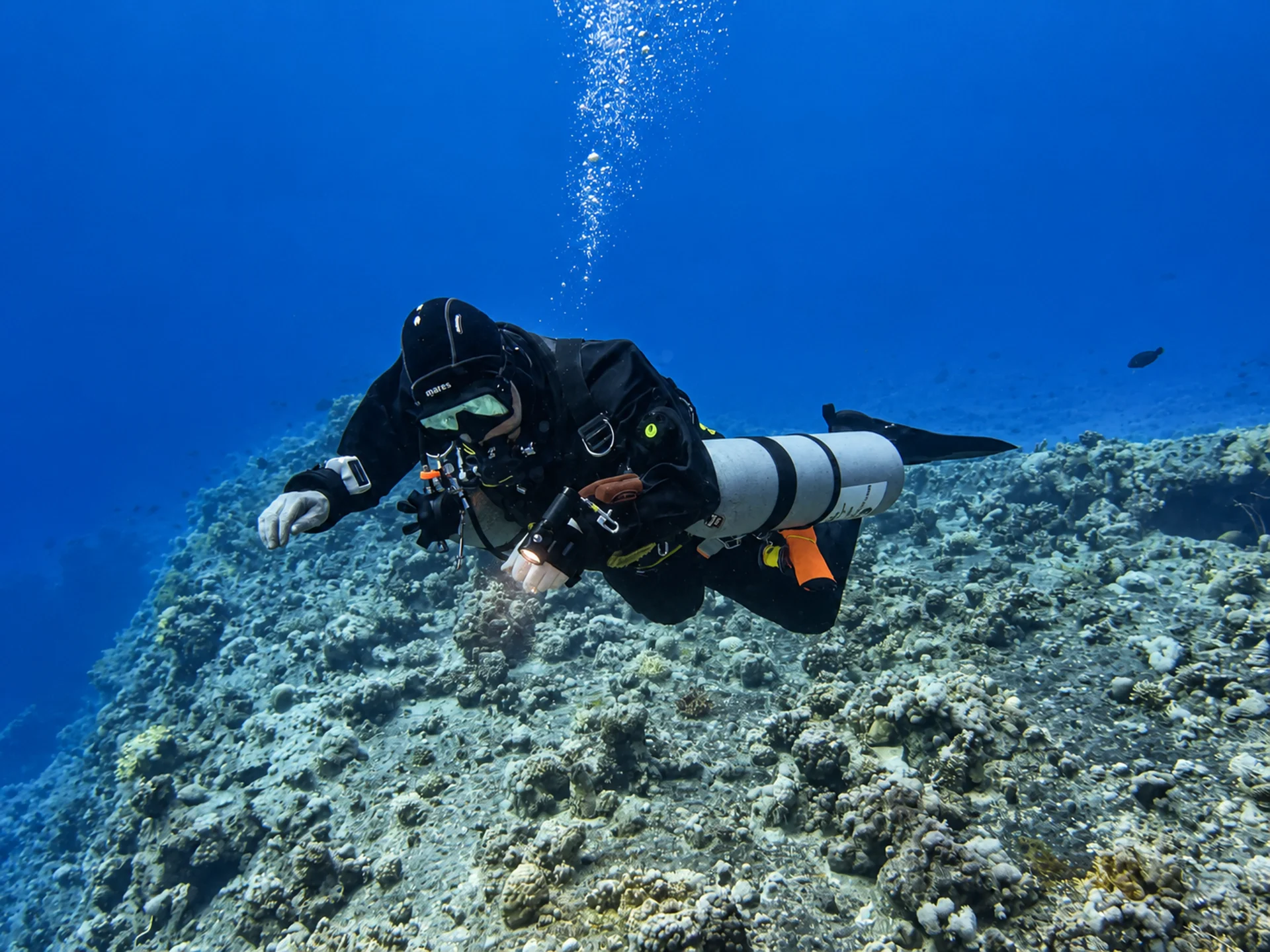 Diver exploring a Red Sea coral reef near Hurghada