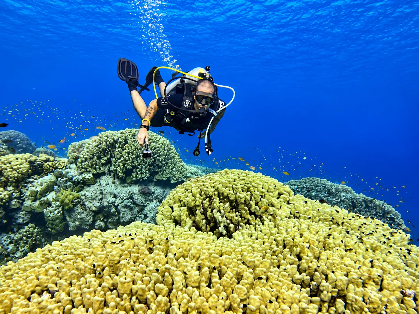Photographer beside a soft coral outcrop
