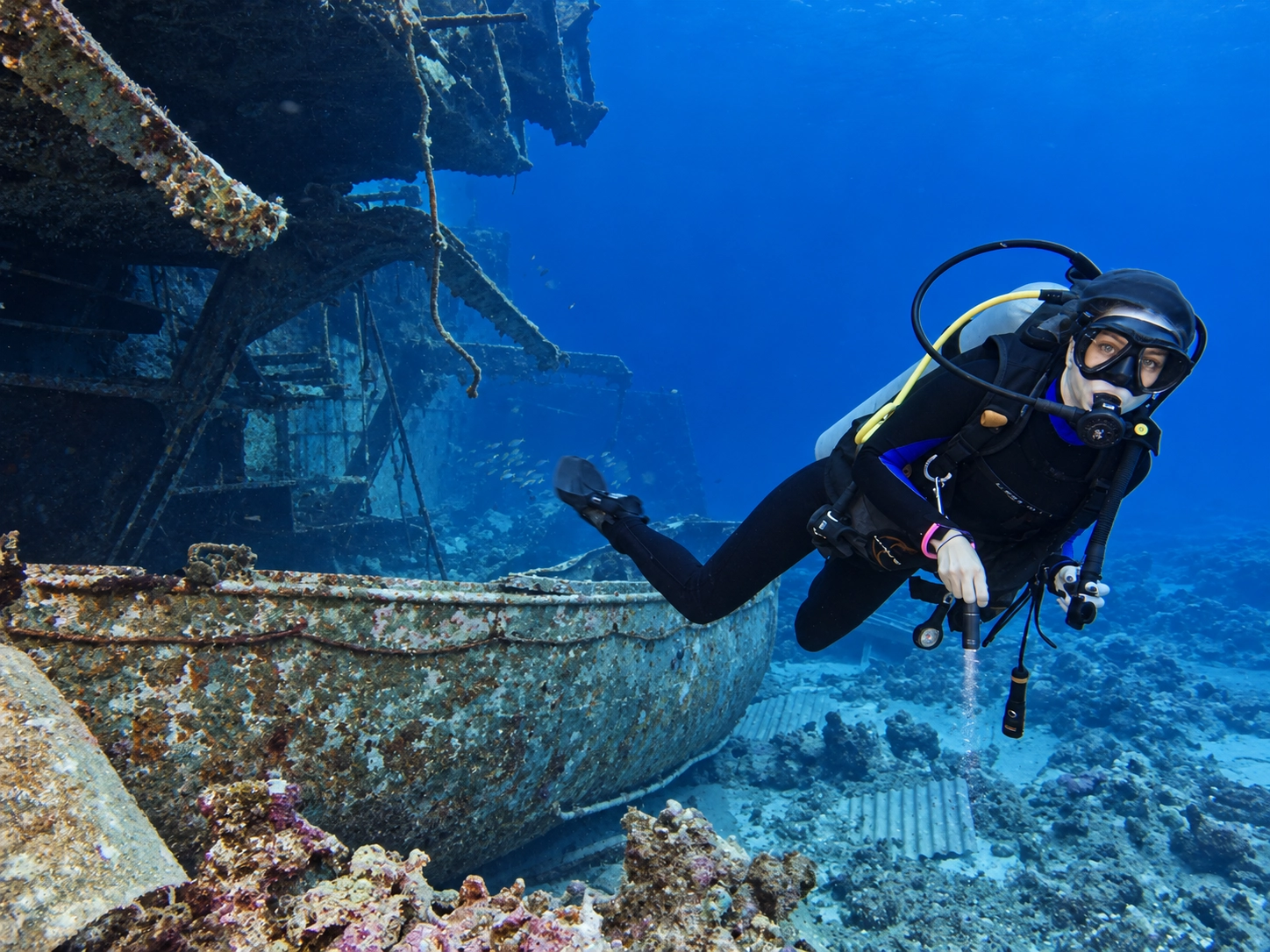 Student swimming past a historic hull in the Red Sea