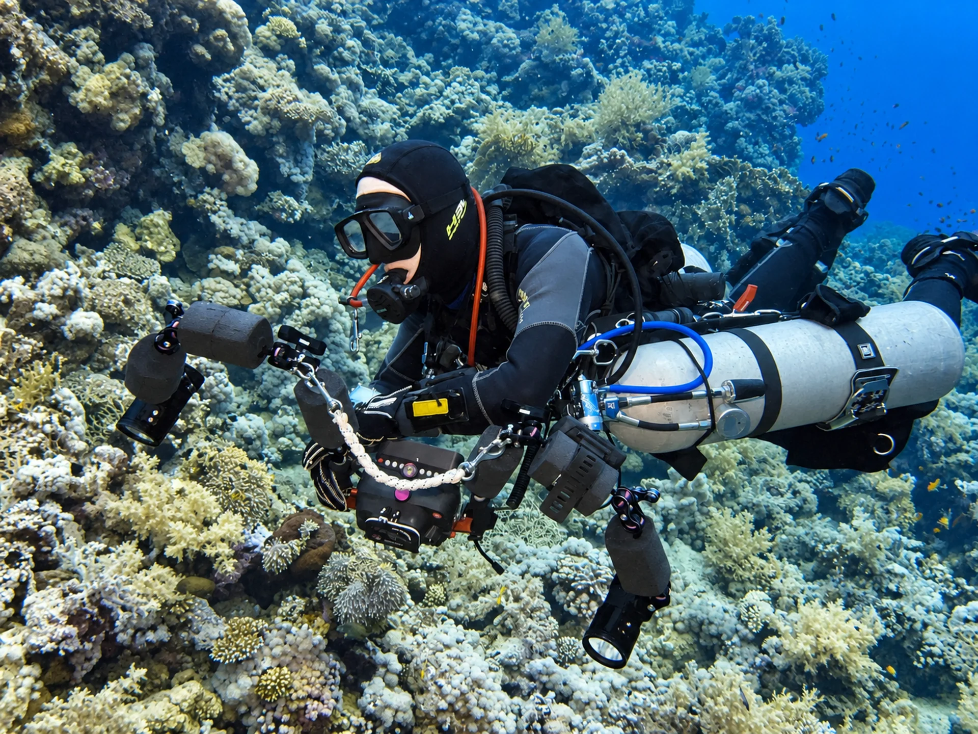 Reef structure below recreational limits in the Red Sea