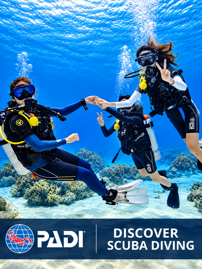 Beginners underwater for the first time in the Red Sea