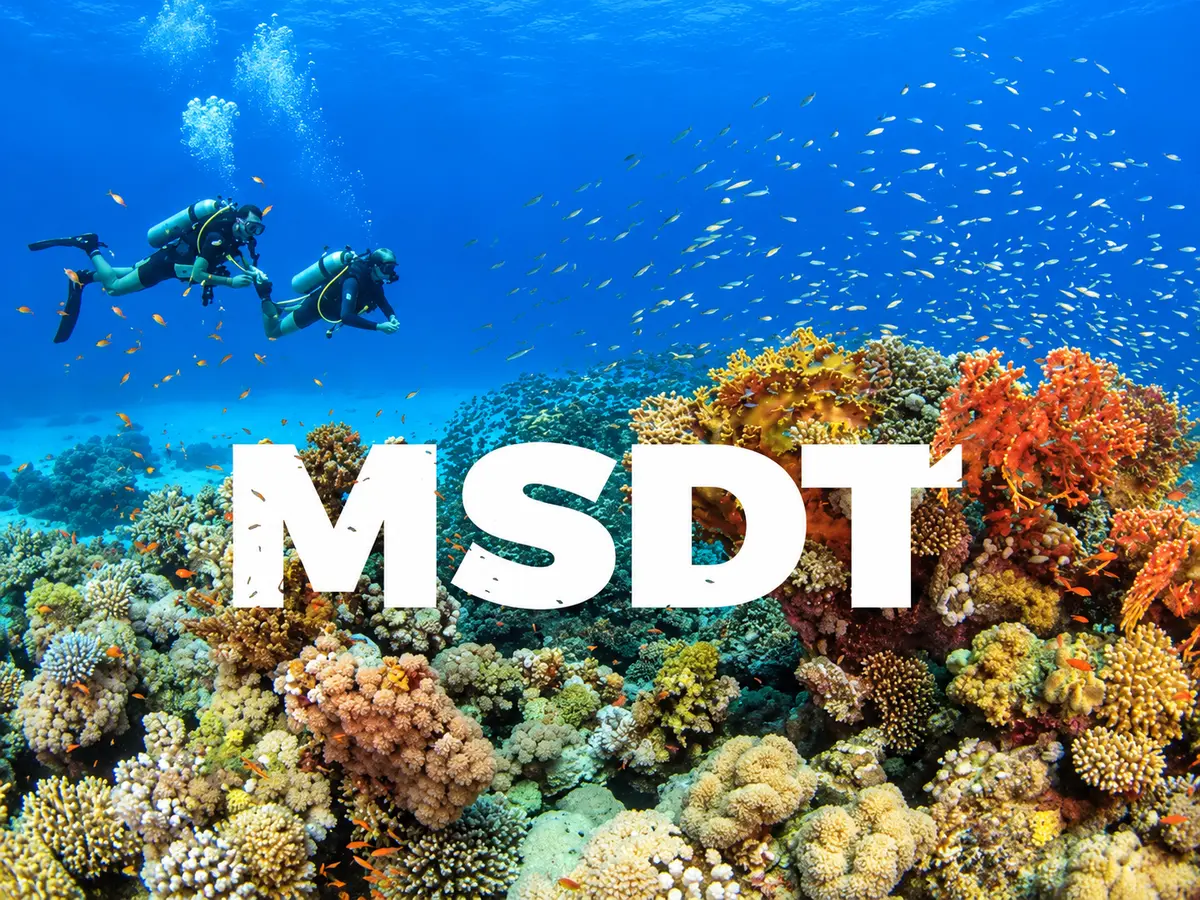 PADI MSDT Specialty Instructor rating badge