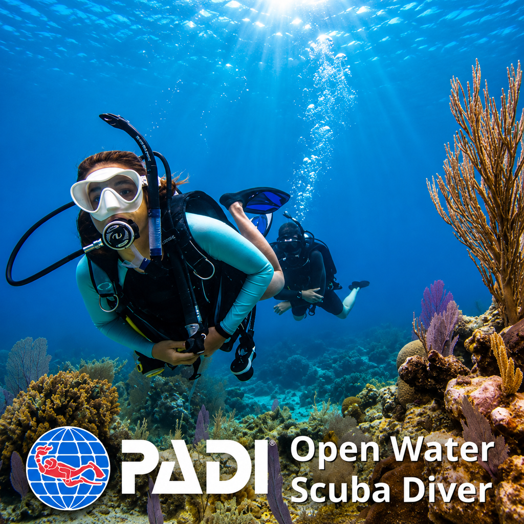 PADI Open Water Diver on a Red Sea reef in Hurghada