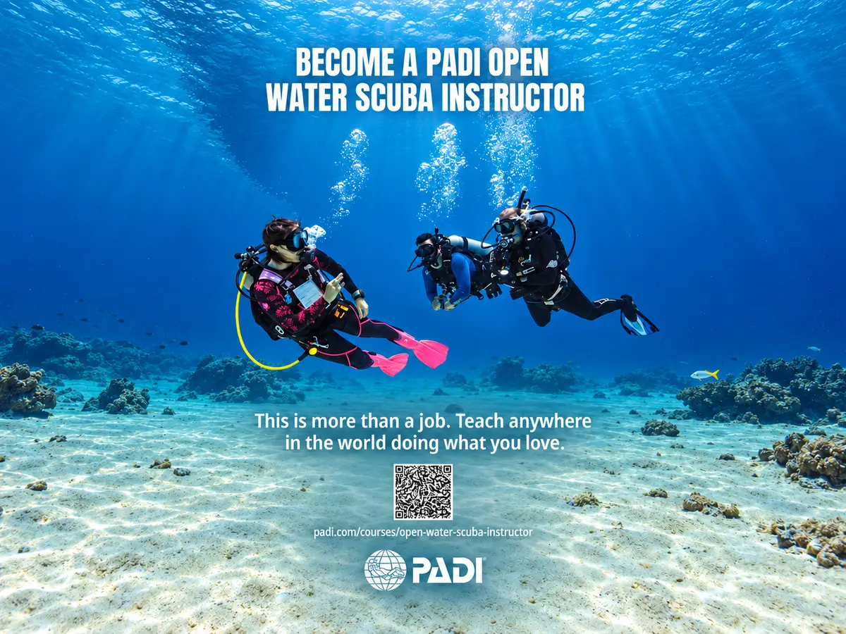 PADI Open Water Scuba Instructor graphic
