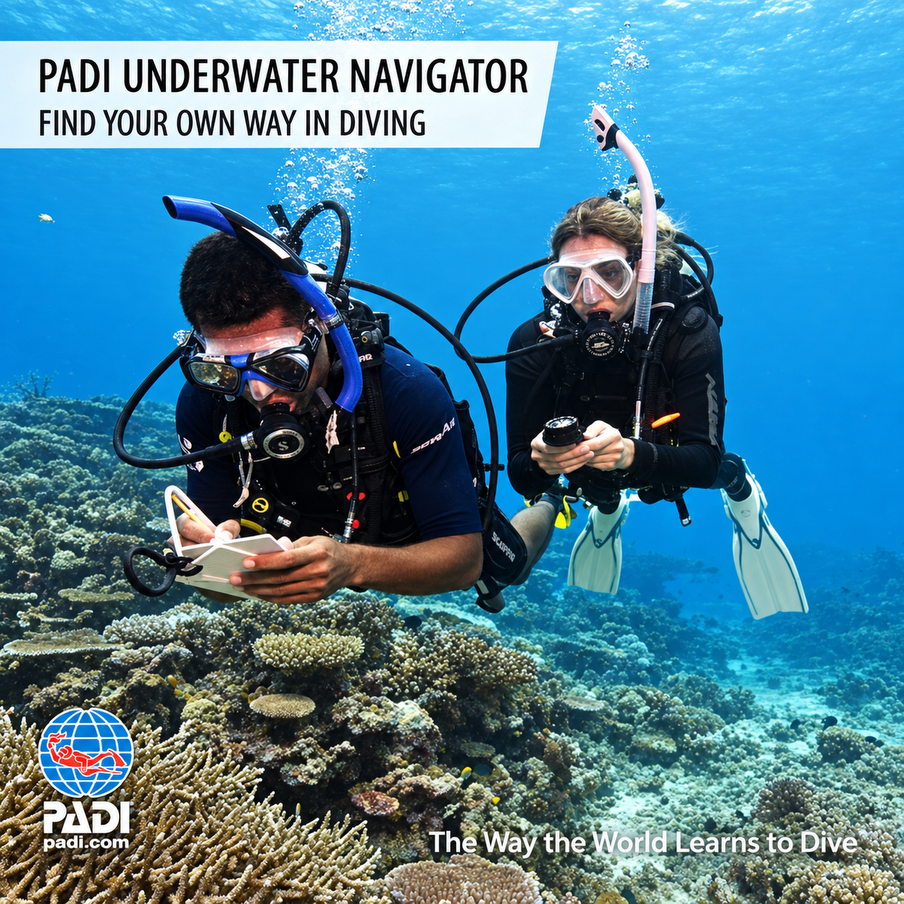 PADI Underwater Navigator Course Hurghada — briefing before the dive
