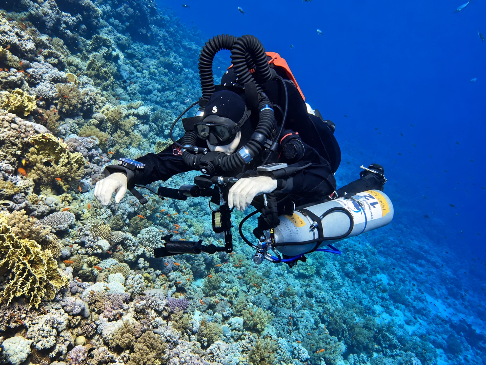 Rebreather diver exploring a Red Sea coral wall
