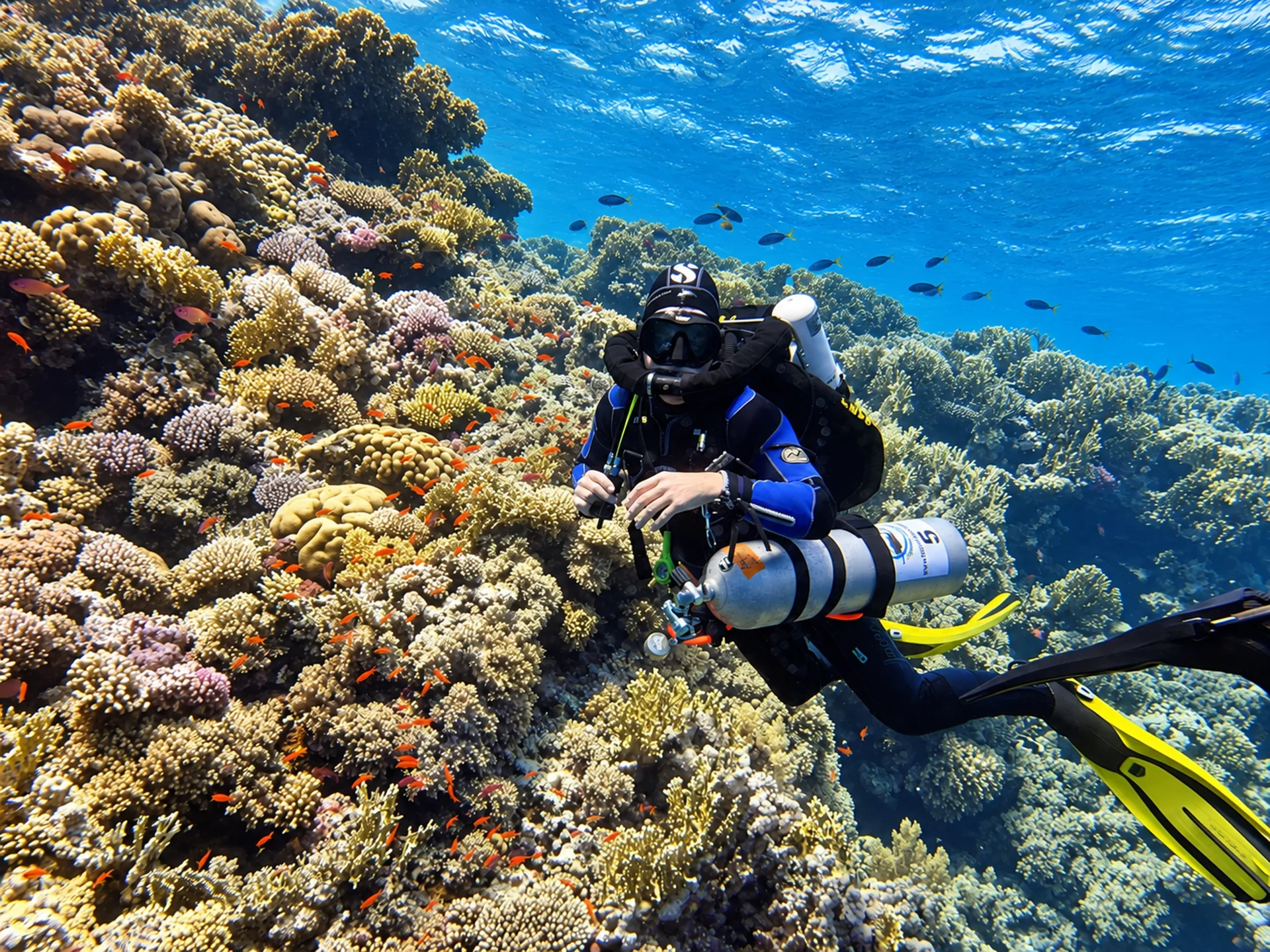 Rebreather diver swimming over a Red Sea coral reef
