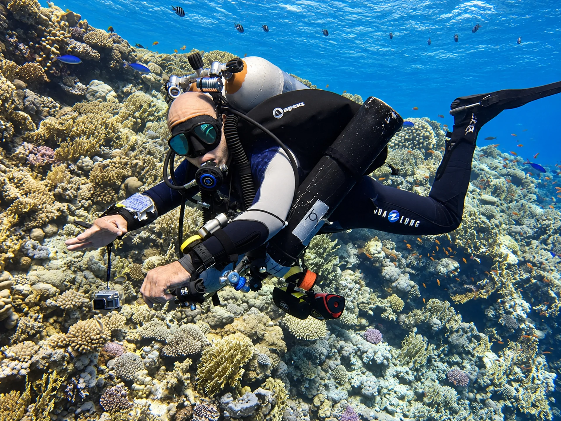Diver exploring a Red Sea coral garden near Hurghada