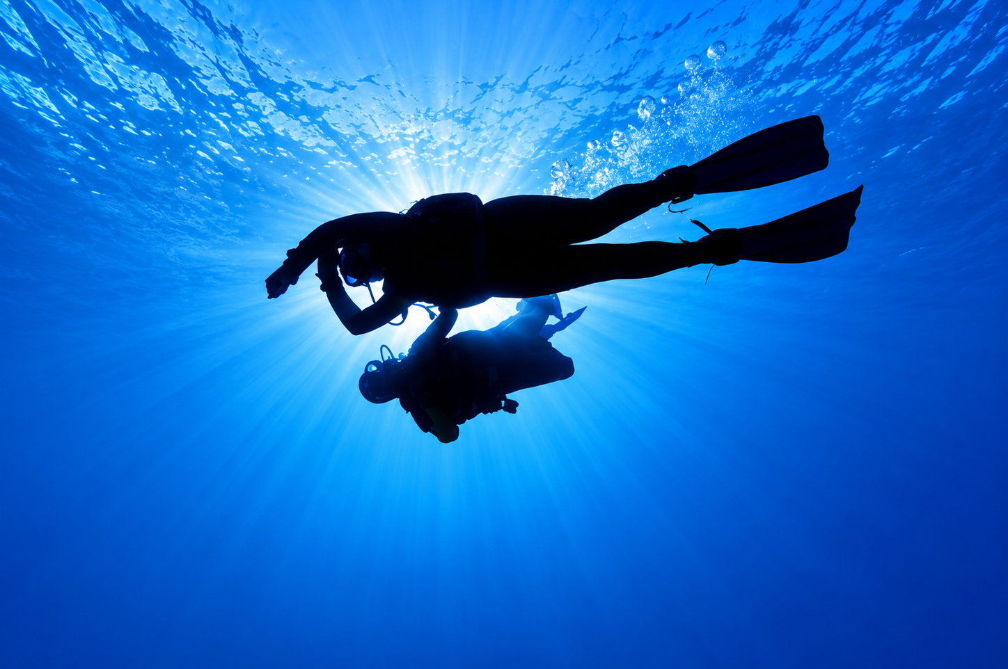 Scuba diver silhouetted against the sunlit surface