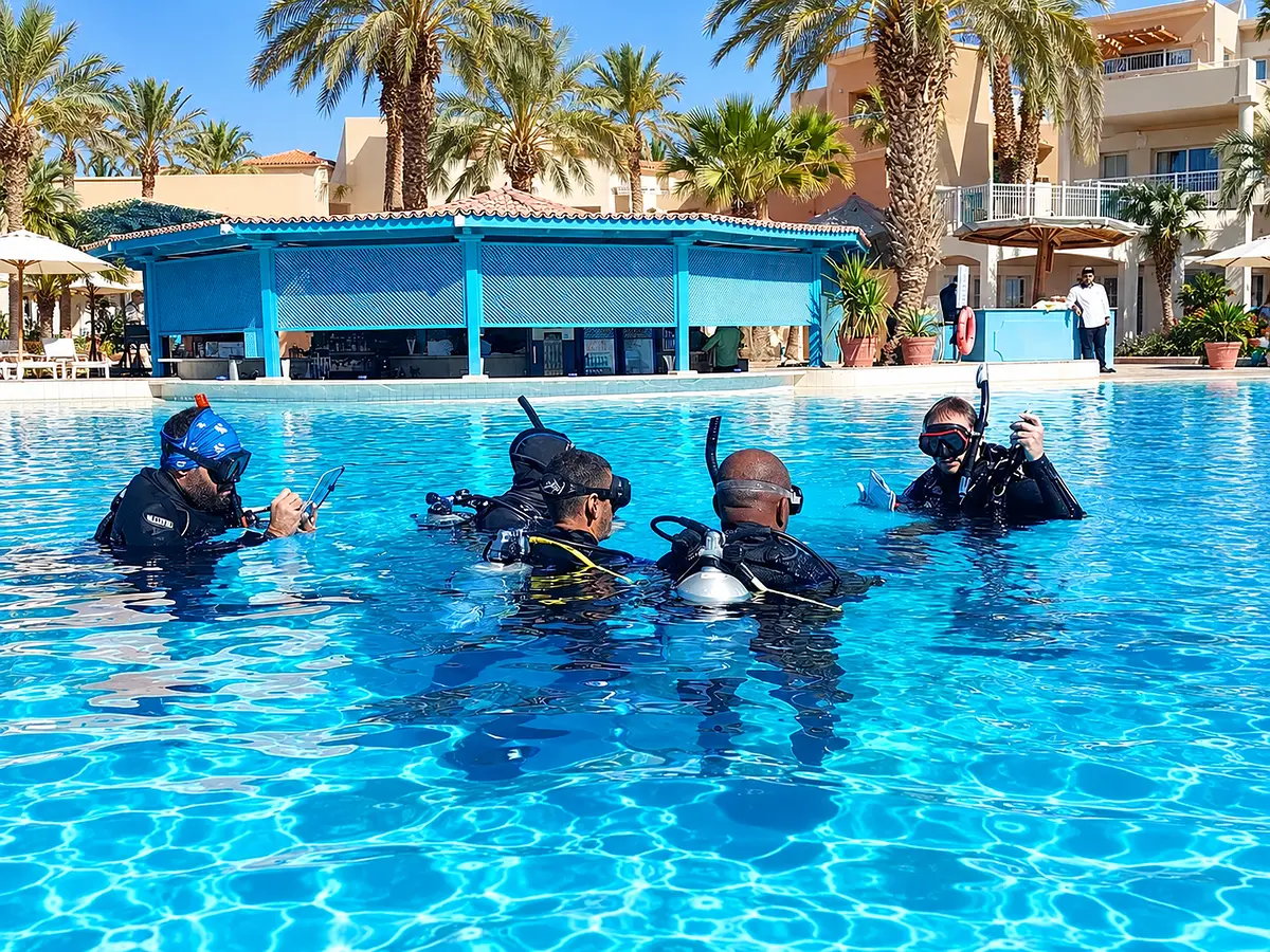 Training pool with palm trees at the dive center