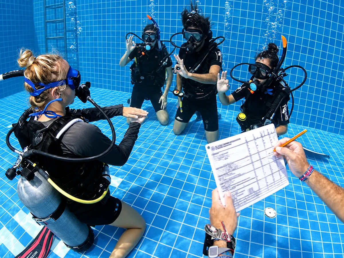 Skills check with an instructor slate in the pool