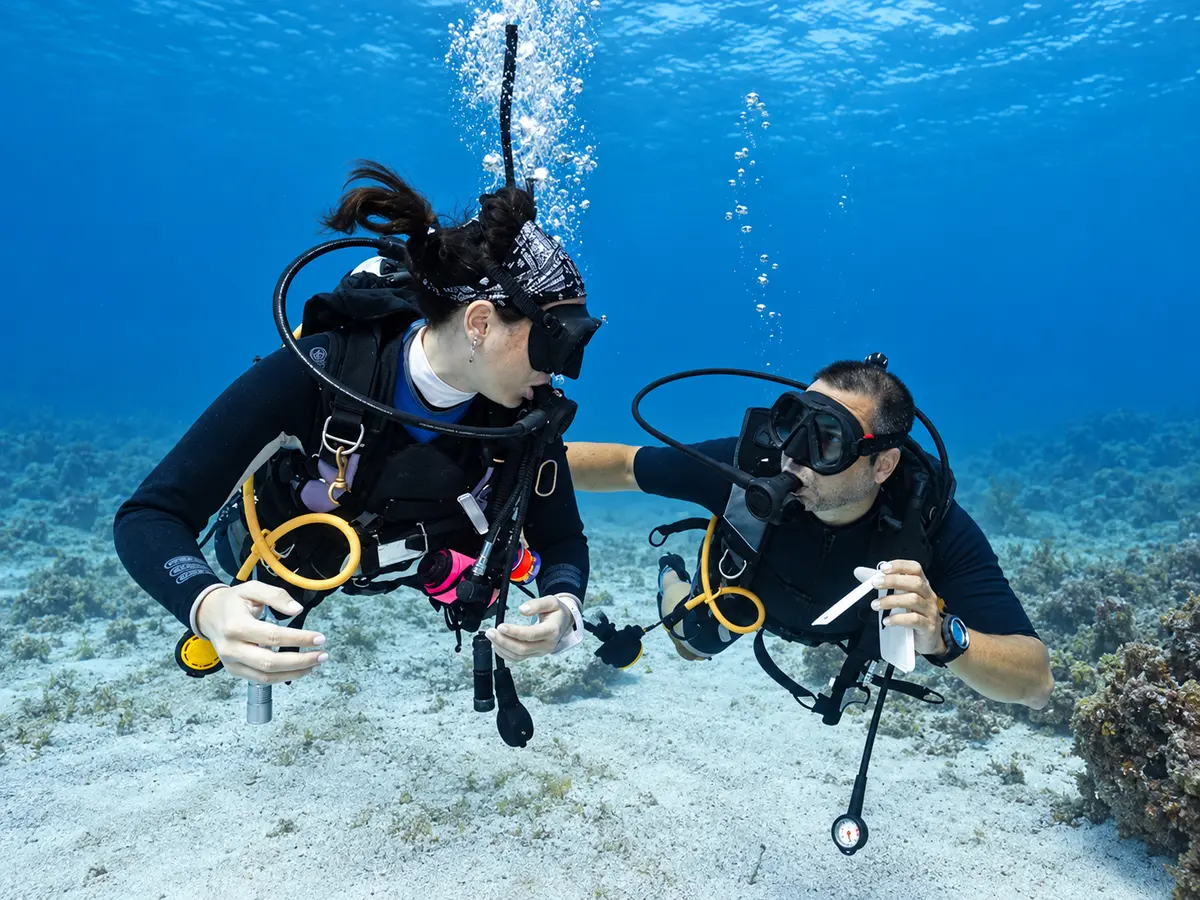 Skills demonstration on the reef during PADI MSDT Specialty Instructor training