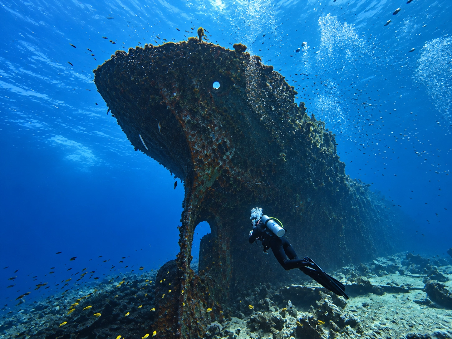 PADI Wreck Diver above a broken hull section