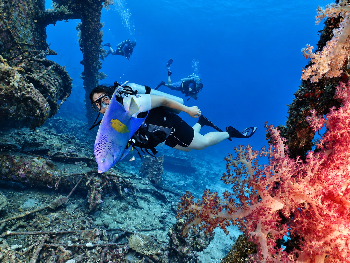 PADI Wreck Diver approaching the hull in clear water
