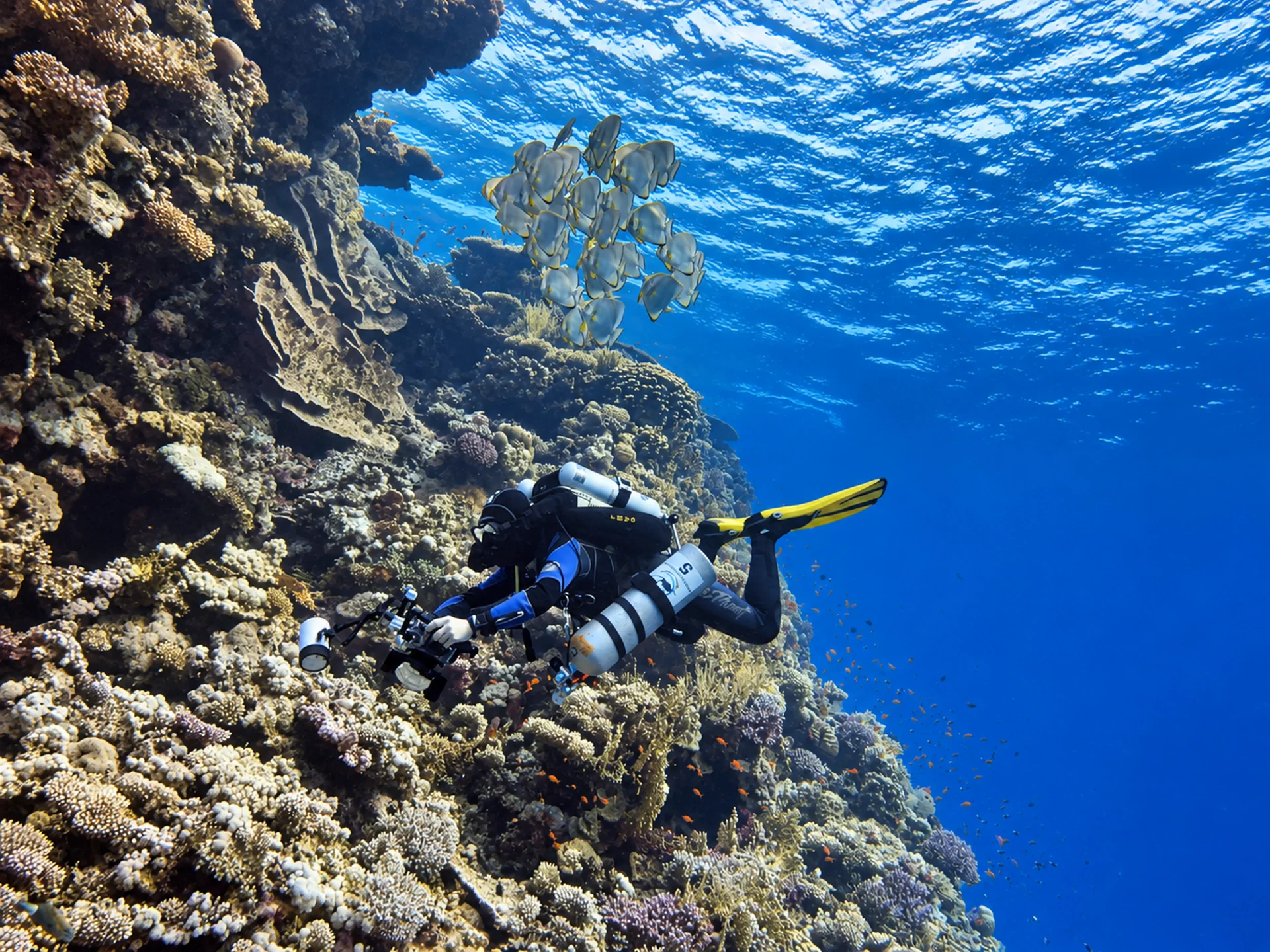 Technical diving photographer working on a Red Sea coral reef