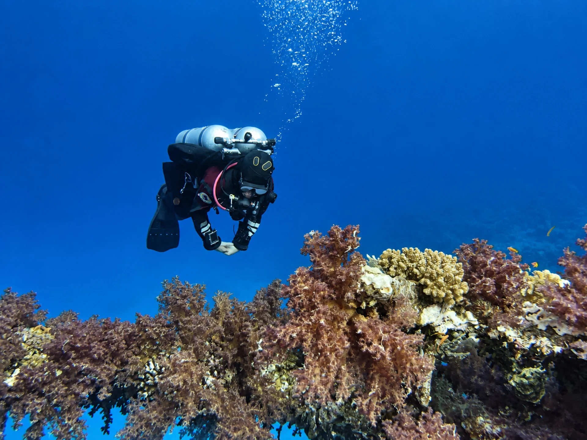 Twinset diver hovering over a Red Sea coral reef
