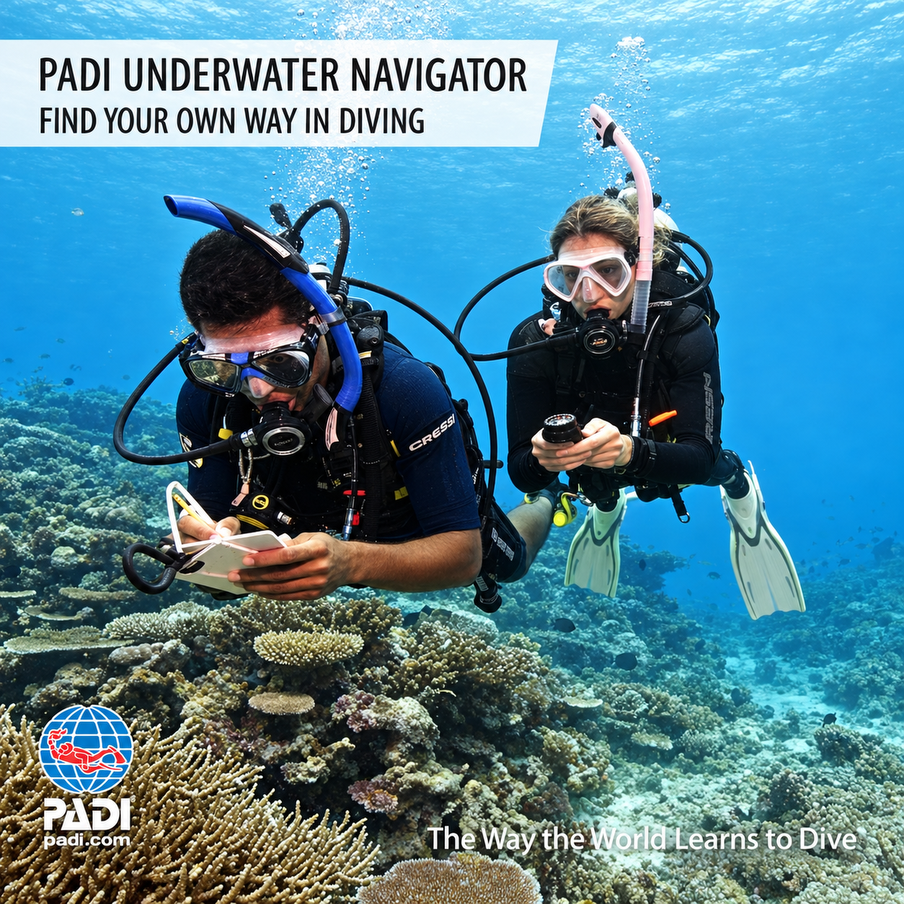 PADI Underwater Navigator Course Hurghada — two divers on the sand