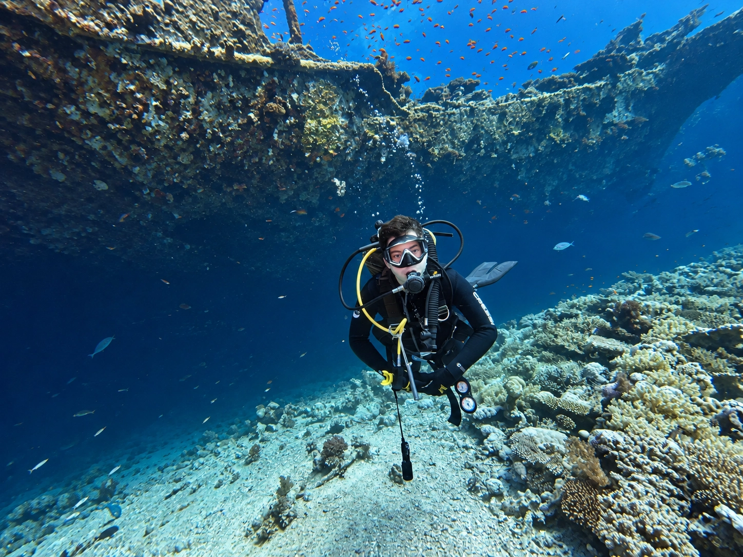 PADI Wreck Diver student surveying a Red Sea hull