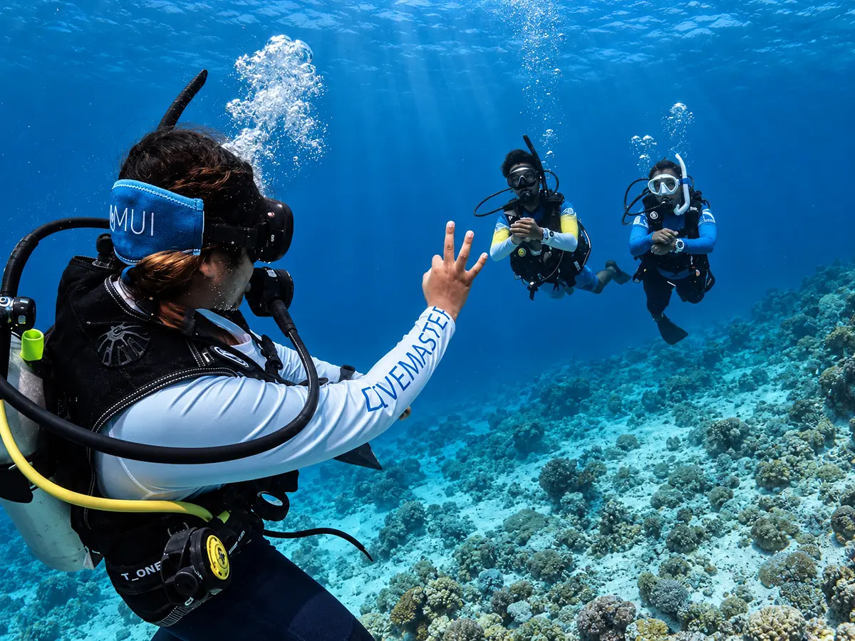 PADI Divemaster Course training dive on a Red Sea reef