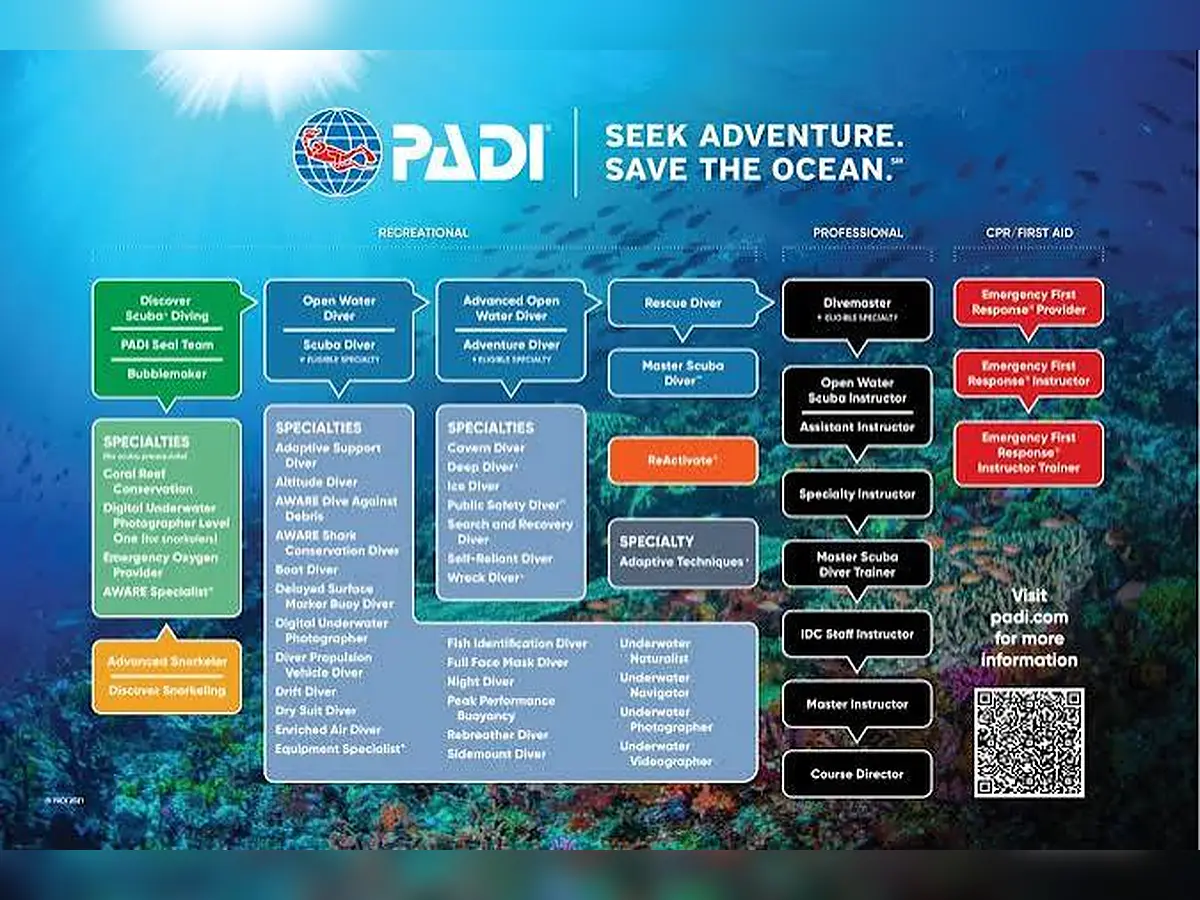 PADI diving courses chart from Bubblemaker to instructor