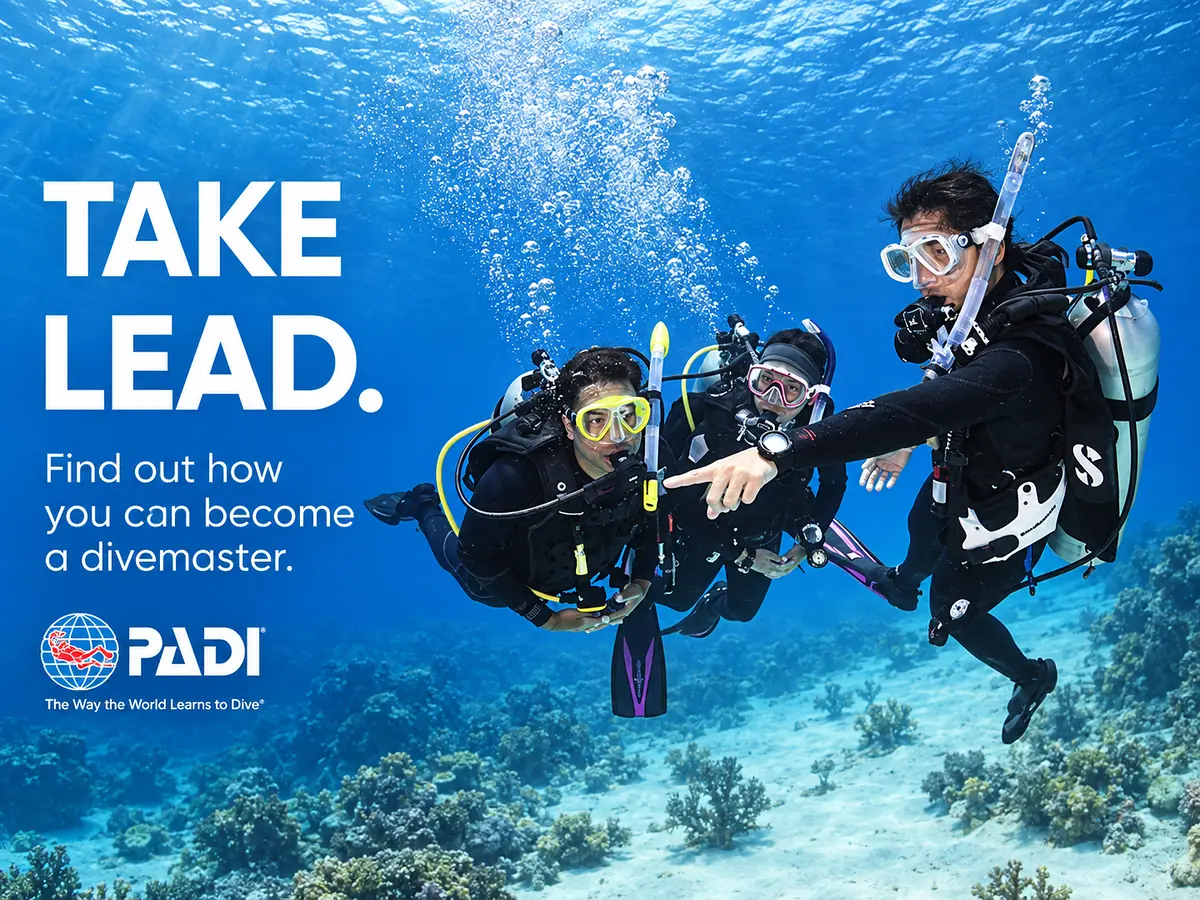 PADI Divemaster course poster