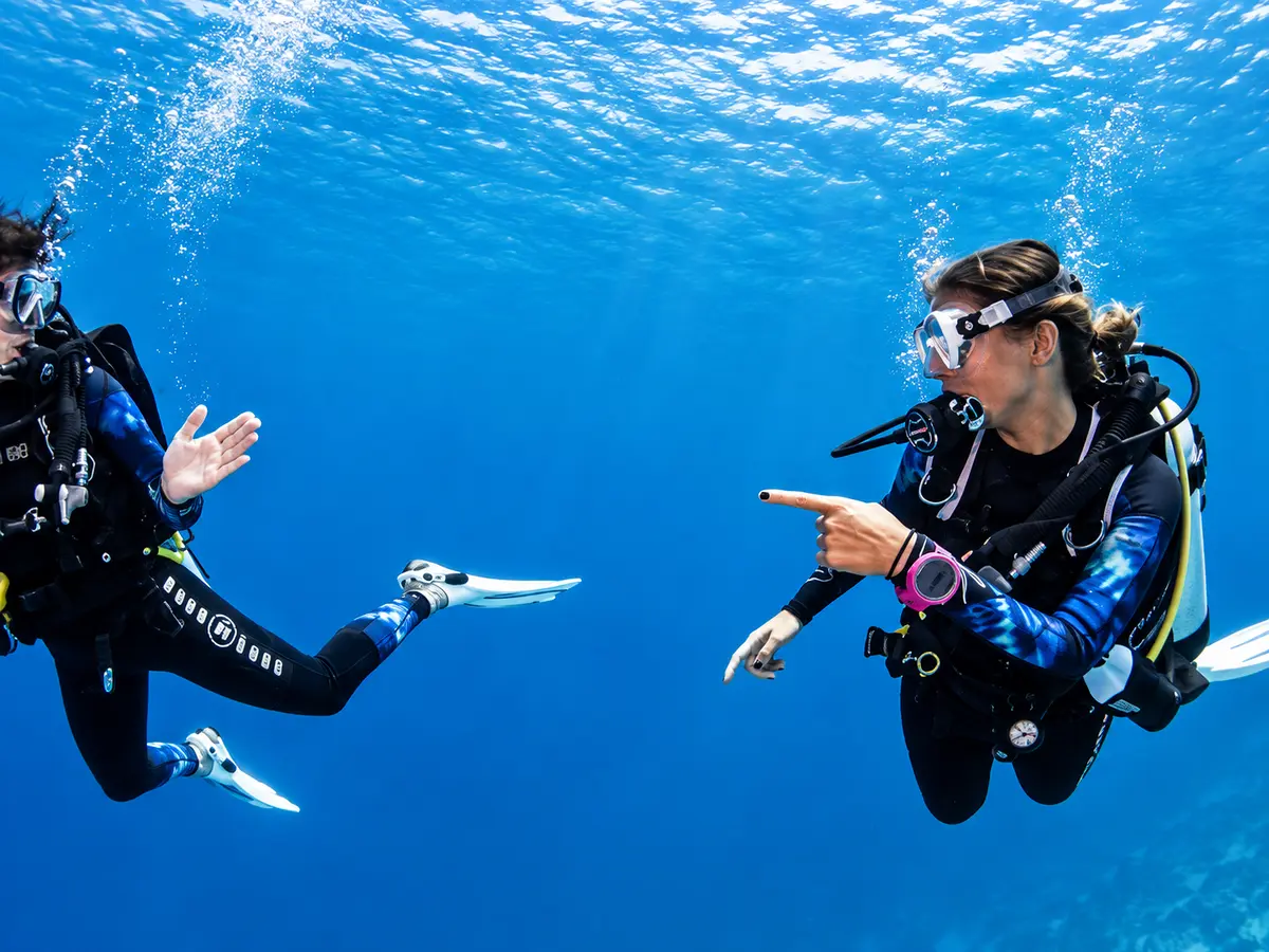 Divers training in open water in the Red Sea
